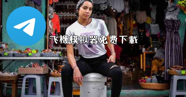 飞機模拟器免费下載