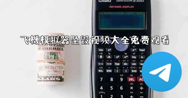 飞機模拟器坠毁视频大全免费观看