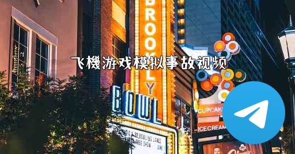 飞機游戏模拟事故视频