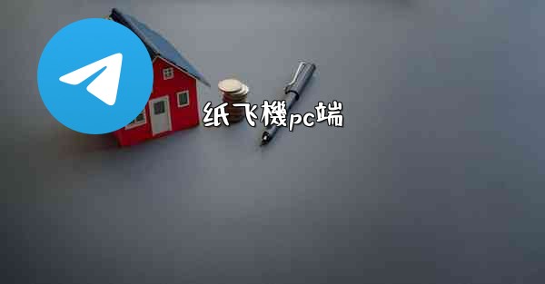 纸飞機pc端