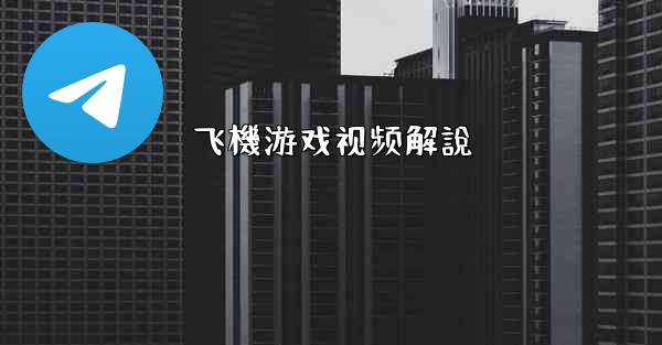 飞機游戏视频解說