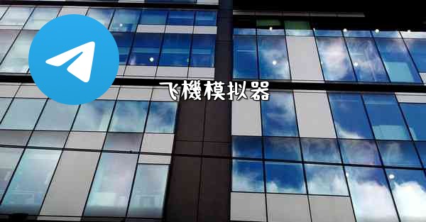 飞機模拟器