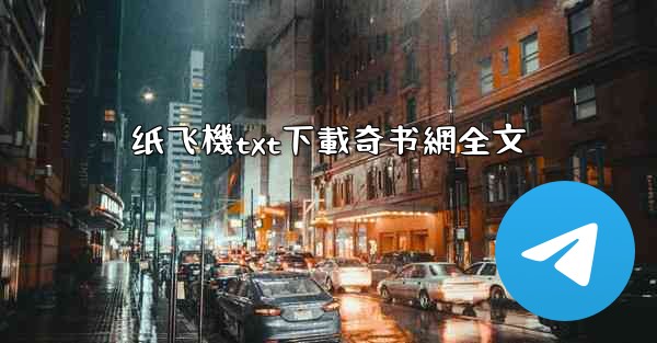 纸飞機txt下載奇书網全文