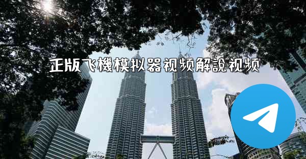 正版飞機模拟器视频解說视频