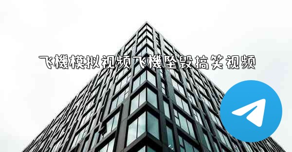 飞機模拟视频飞機坠毁搞笑视频