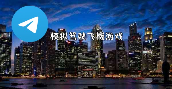 模拟驾驶飞機游戏