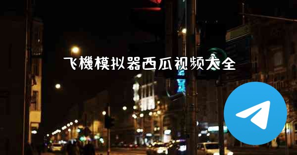 飞機模拟器西瓜视频大全