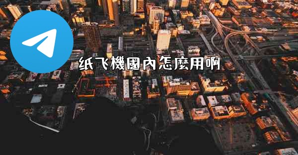 纸飞機國內怎麼用啊