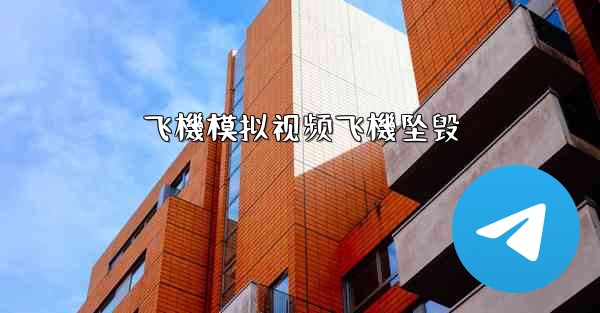 飞機模拟视频飞機坠毁