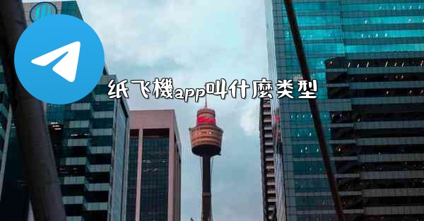 纸飞機app叫什麼类型