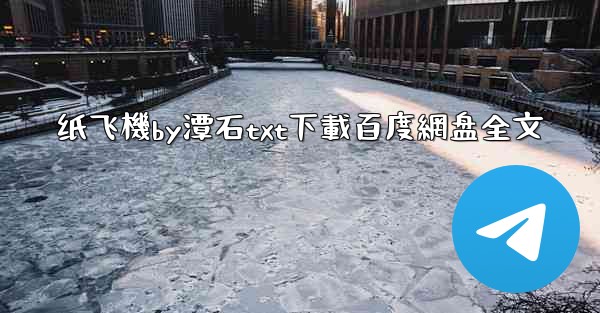 纸飞機by潭石txt下載百度網盘全文