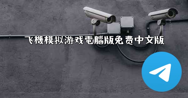 飞機模拟游戏電腦版免费中文版