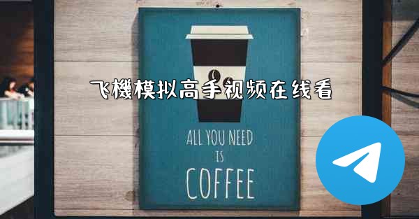 飞機模拟高手视频在线看