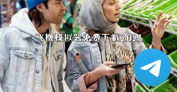 飞機模拟器免费下載2021