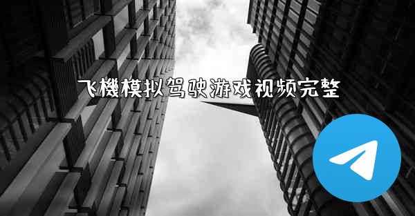 飞機模拟驾驶游戏视频完整