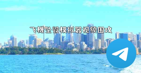 飞機坠毁模拟器视频围攻