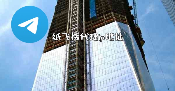 纸飞機代理ip地址