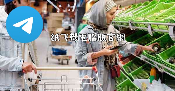 纸飞機電腦版官網