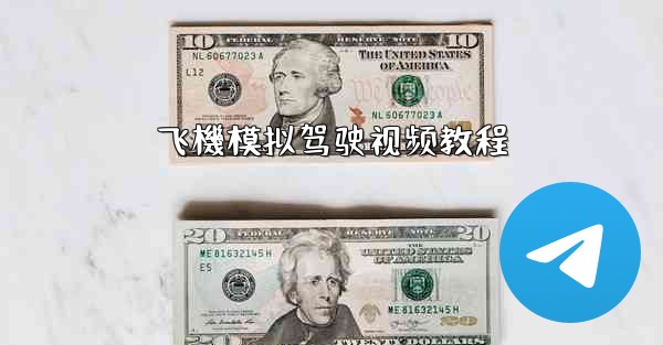 飞機模拟驾驶视频教程