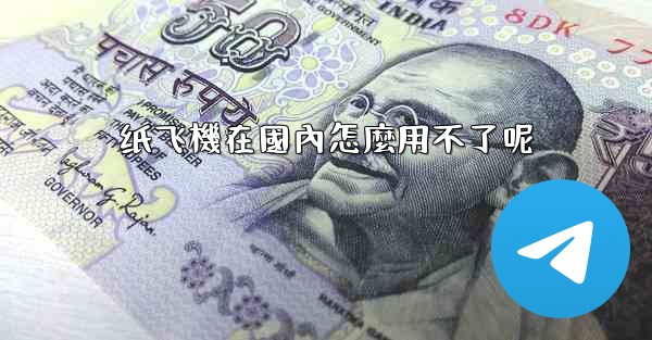 纸飞機在國內怎麼用不了呢