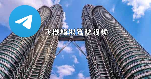 飞機模拟驾驶视频