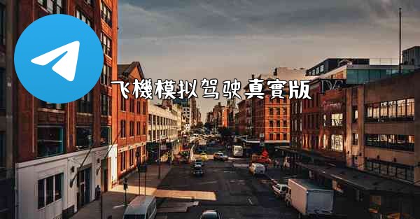 飞機模拟驾驶真實版