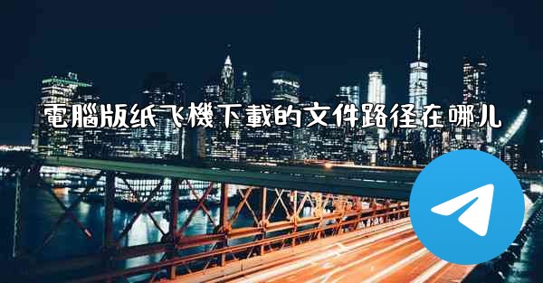 電腦版纸飞機下載的文件路径在哪儿