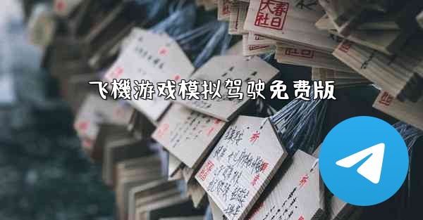 飞機游戏模拟驾驶免费版