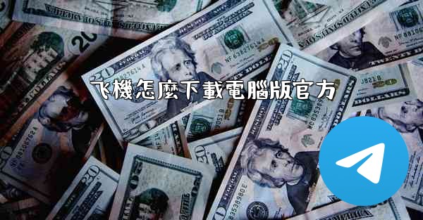 飞機怎麼下載電腦版官方