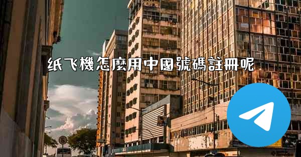 纸飞機怎麼用中國號碼註冊呢