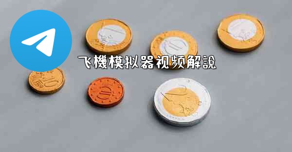 飞機模拟器视频解說
