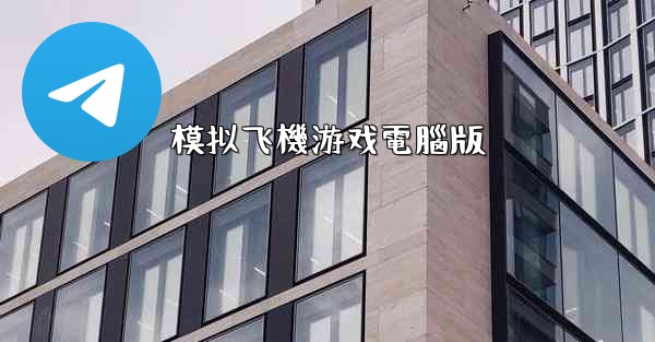 模拟飞機游戏電腦版