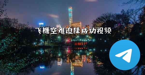 飞機空难迫降成功视频