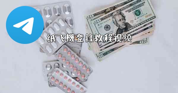 纸飞機登錄教程视频