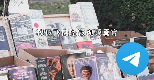 模拟飞機坠毁视频真實