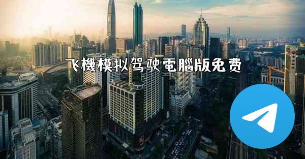 飞機模拟驾驶電腦版免费