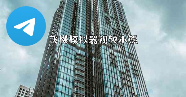 飞機模拟器视频小熊