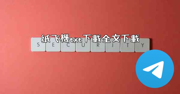 纸飞機txt下載全文下載