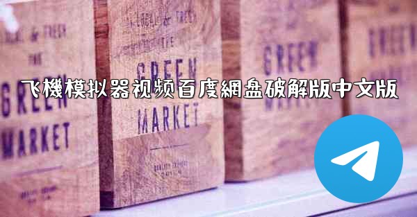 飞機模拟器视频百度網盘破解版中文版