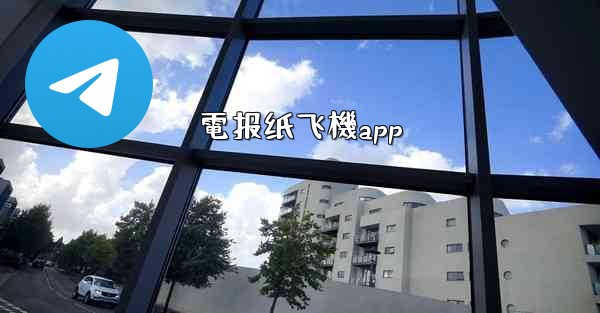 電报纸飞機app