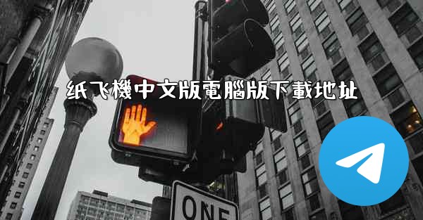 纸飞機中文版電腦版下載地址