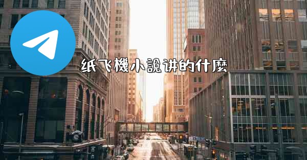 纸飞機小說讲的什麼