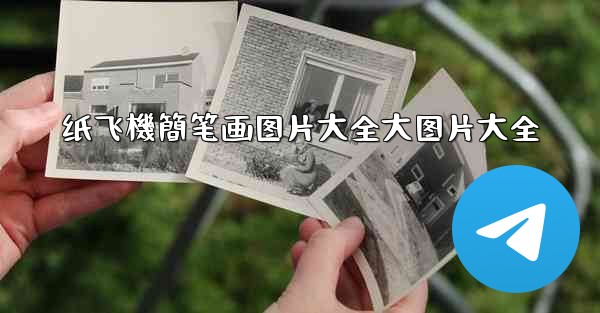 纸飞機簡笔画图片大全大图片大全