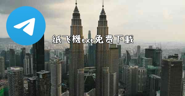 纸飞機txt免费下載