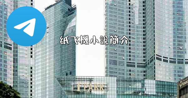 纸飞機小說簡介