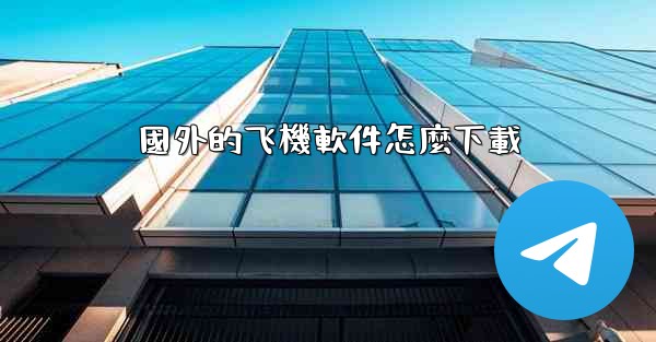 國外的飞機軟件怎麼下載