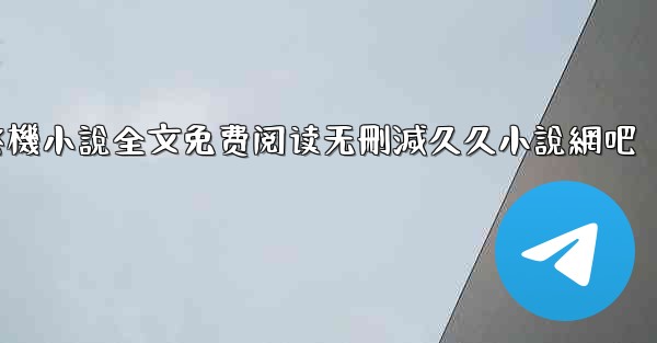 纸飞機小說全文免费阅读无刪減久久小說網吧