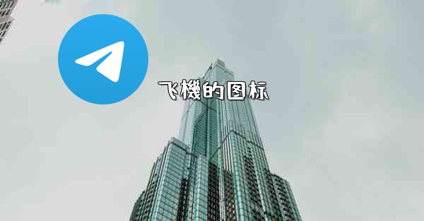 飞機的图标