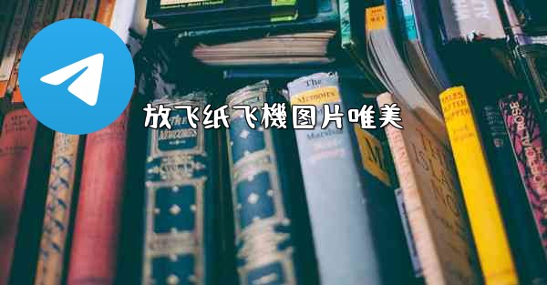 放飞纸飞機图片唯美