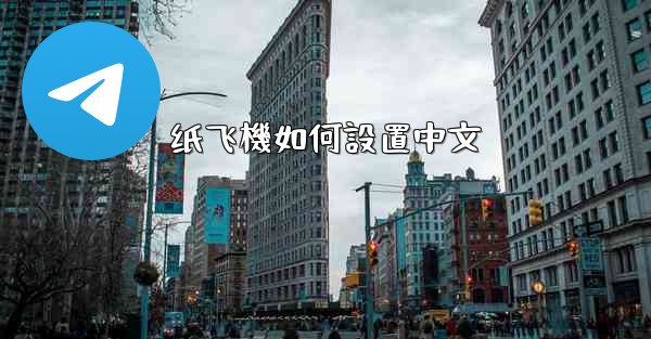 纸飞機如何設置中文